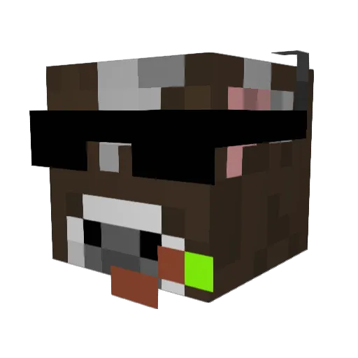 Termless69 Minecraft avatar head, 3D render