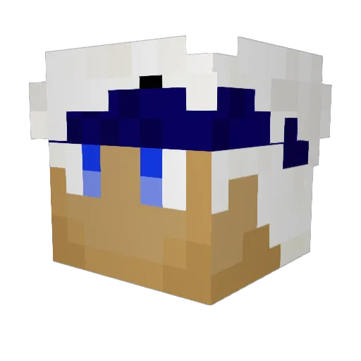 Ternesa Minecraft avatar head, 3D render