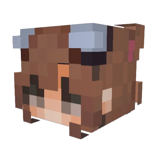 Terpaa_ Minecraft avatar head, 3D render