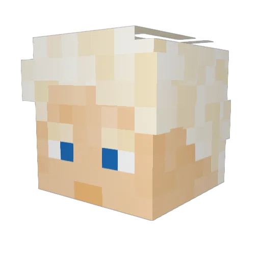 TerpyWerpy Minecraft avatar head, 3D render