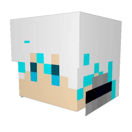 Terr_OG Minecraft avatar head, 3D render