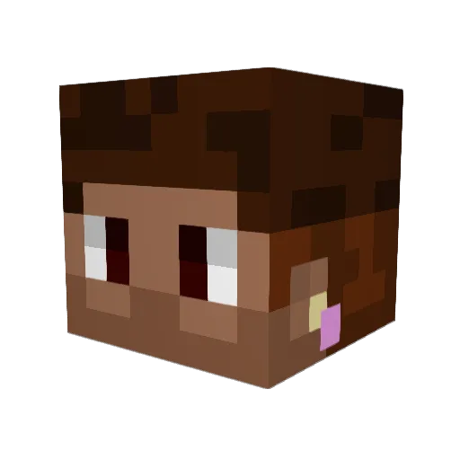 TerraCraftBR Minecraft avatar head, 3D render