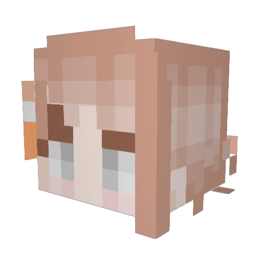 TerraGenesis_ Minecraft avatar head, 3D render