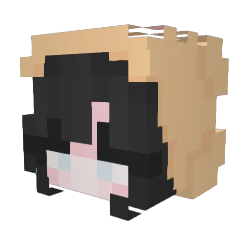 Terrabear0713 Minecraft avatar head, 3D render