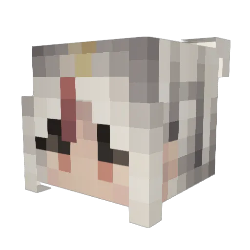 Terracia776 Minecraft avatar head, 3D render