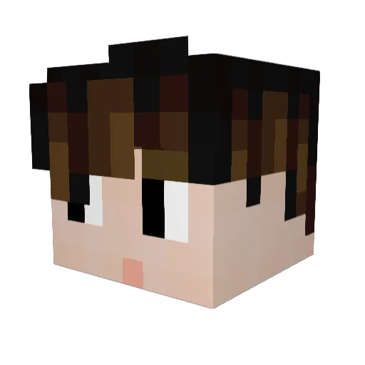 Terrafade_ Minecraft avatar head, 3D render