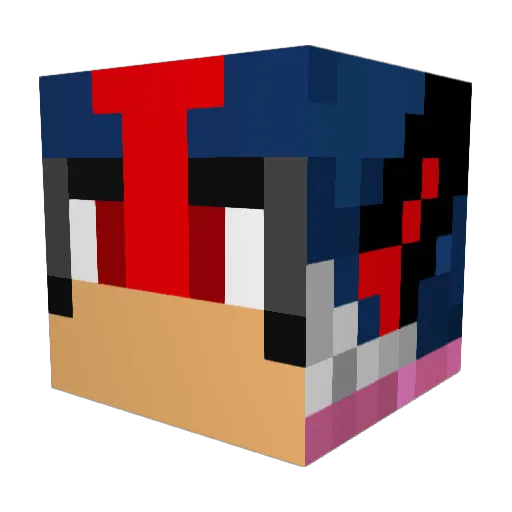 Terrafin89 Minecraft avatar head, 3D render
