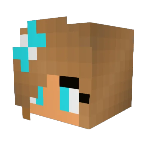 Terrakiller321 Minecraft avatar head, 3D render