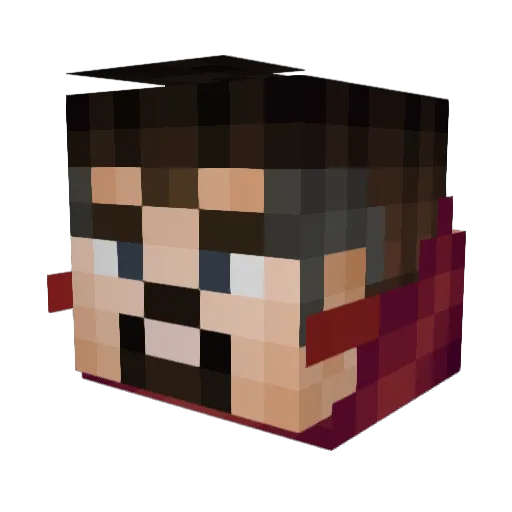 Terran47 Minecraft avatar head, 3D render