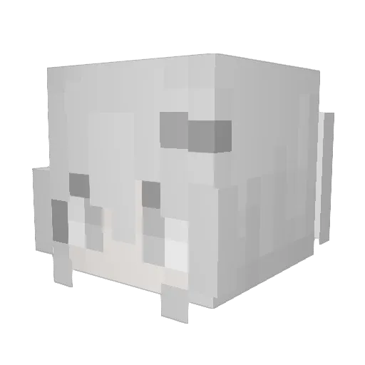 Terrance188 Minecraft avatar head, 3D render