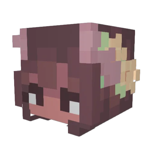 Terrariam Minecraft avatar head, 3D render