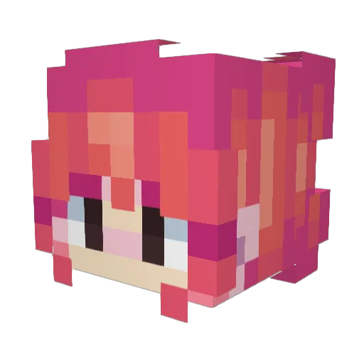 TerrarianAce Minecraft avatar head, 3D render