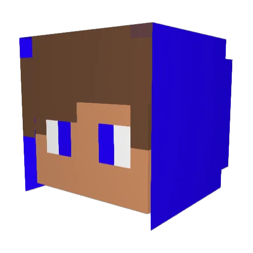 TerrarianGamer2 Minecraft avatar head, 3D render