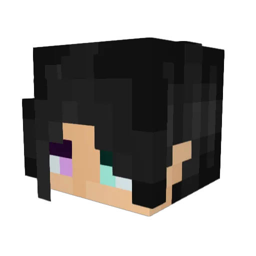 Terrasomnia Minecraft avatar head, 3D render
