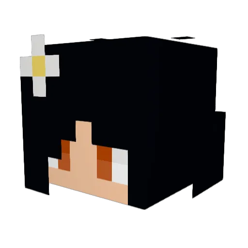 Terrbearr Minecraft avatar head, 3D render