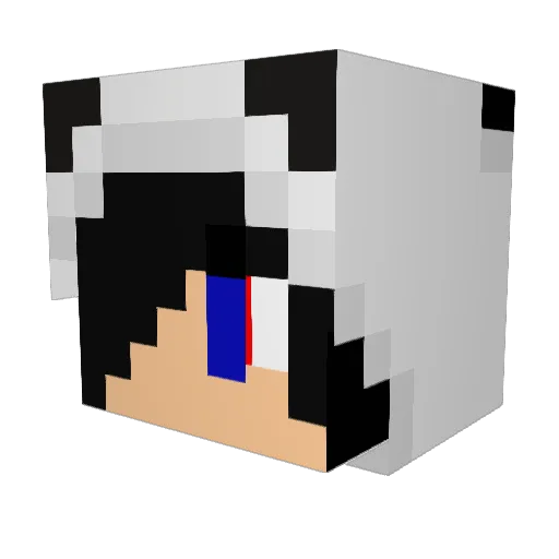 Terreminus Minecraft avatar head, 3D render