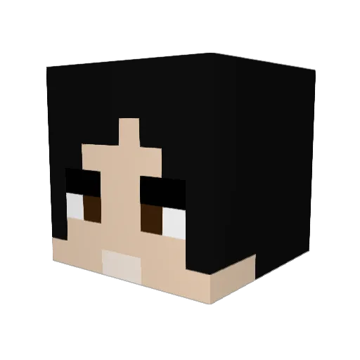 Terrence1020 Minecraft avatar head, 3D render