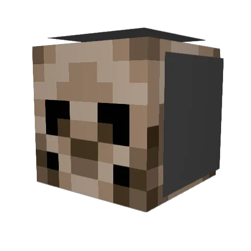 Terreris Minecraft avatar head, 3D render