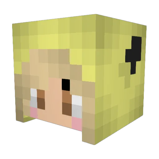 TerribleFate117 Minecraft avatar head, 3D render