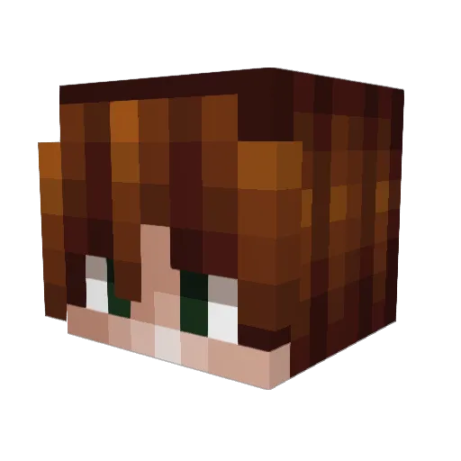 TerrificBadger Minecraft avatar head, 3D render
