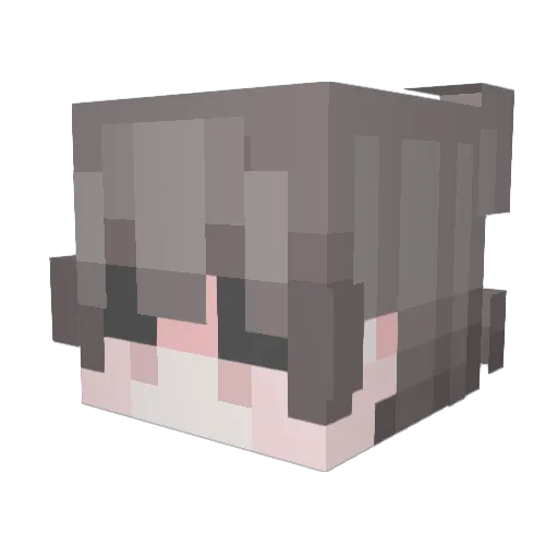 TerrifyingCali Minecraft avatar head, 3D render