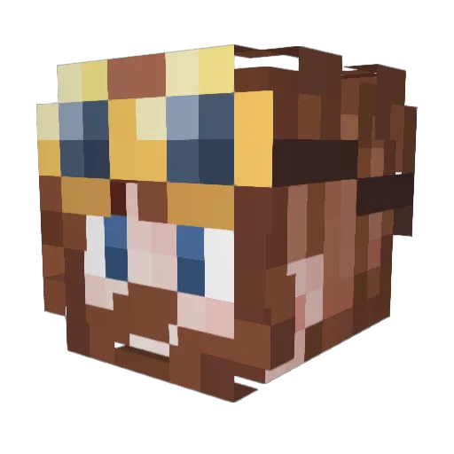 Territe Minecraft avatar head, 3D render