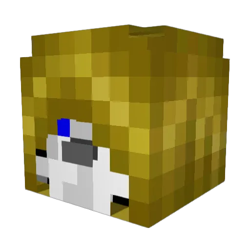 Territh Minecraft avatar head, 3D render