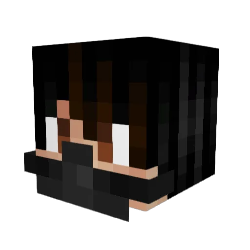Terrminator101 Minecraft avatar head, 3D render