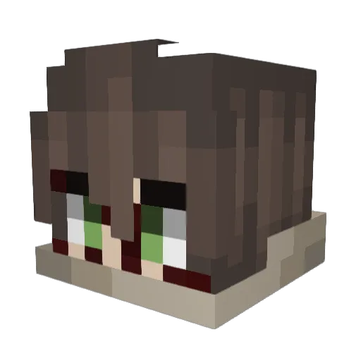 Terror_Shane Minecraft avatar head, 3D render