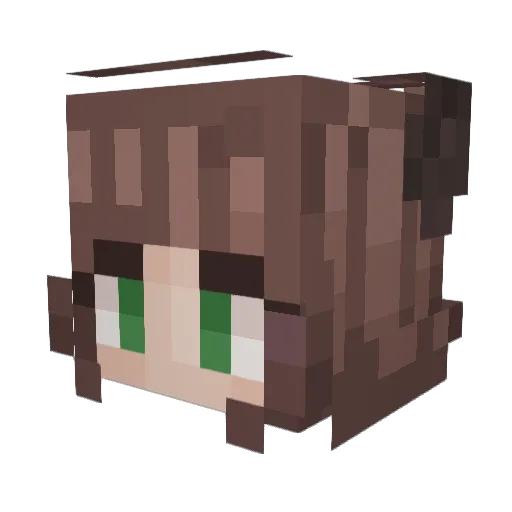 Terrorfranzi07 Minecraft avatar head, 3D render