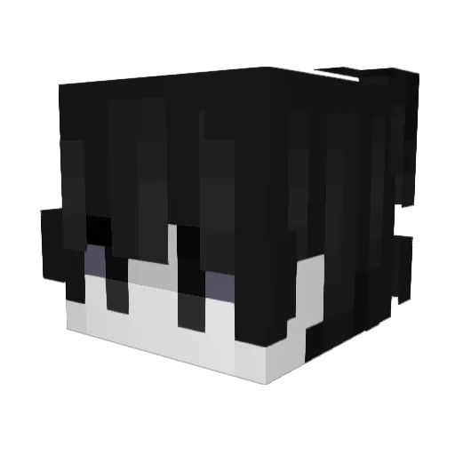 Terrorizers Minecraft avatar head, 3D render