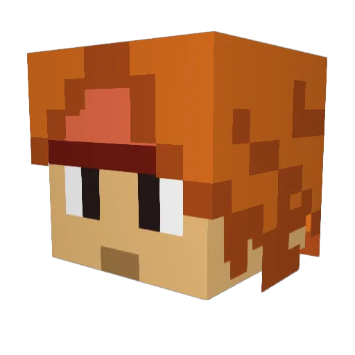 Terrorlikesu2 Minecraft avatar head, 3D render