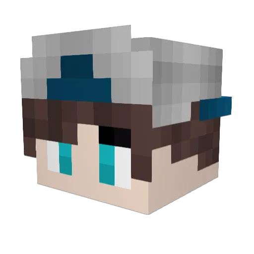Terrorzwerg_ Minecraft avatar head, 3D render
