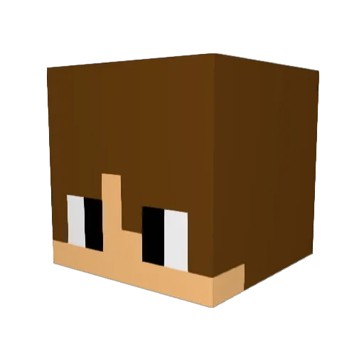 Terrpac Minecraft avatar head, 3D render