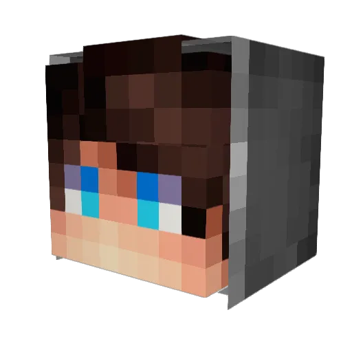 Terrx2003 Minecraft avatar head, 3D render