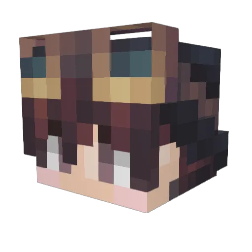 Terry2005 Minecraft avatar head, 3D render