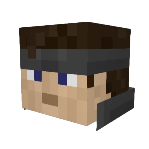 Terry222222 Minecraft avatar head, 3D render