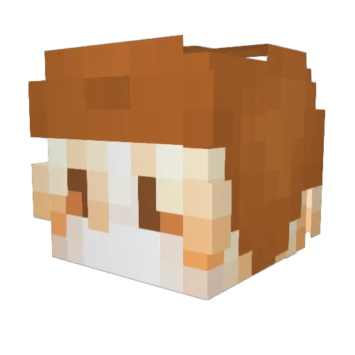 TerryBach Minecraft avatar head, 3D render