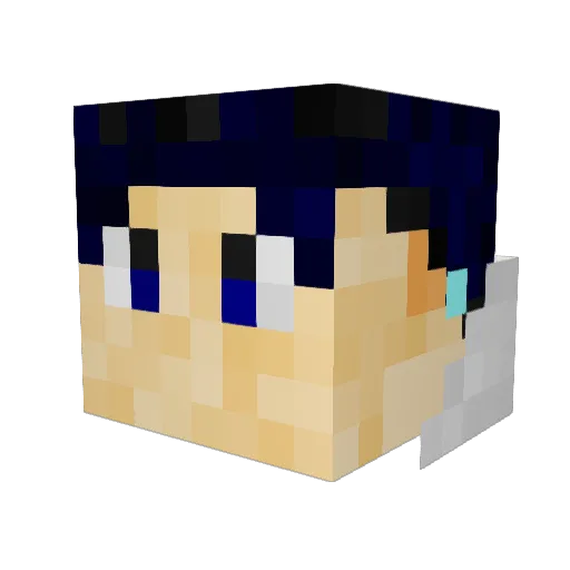 TerryDylan Minecraft avatar head, 3D render