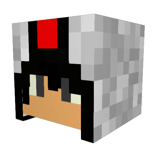 TerrySnow Minecraft avatar head, 3D render