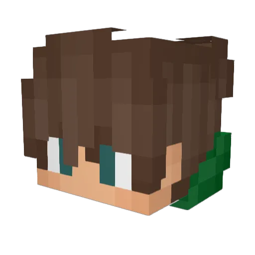 TerryTc Minecraft avatar head, 3D render