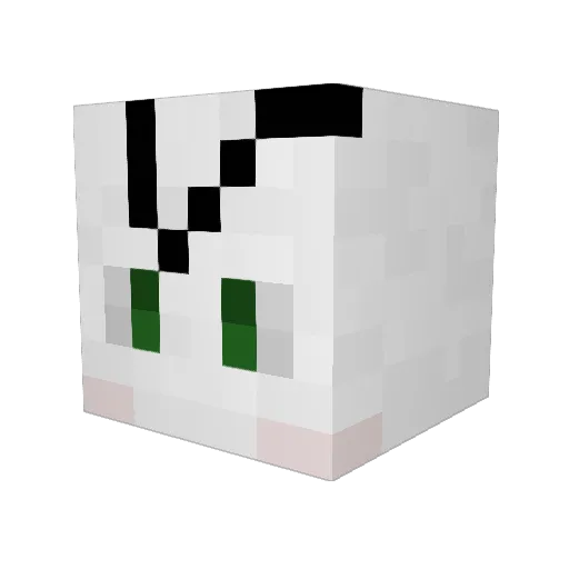 TerryVerse Minecraft avatar head, 3D render