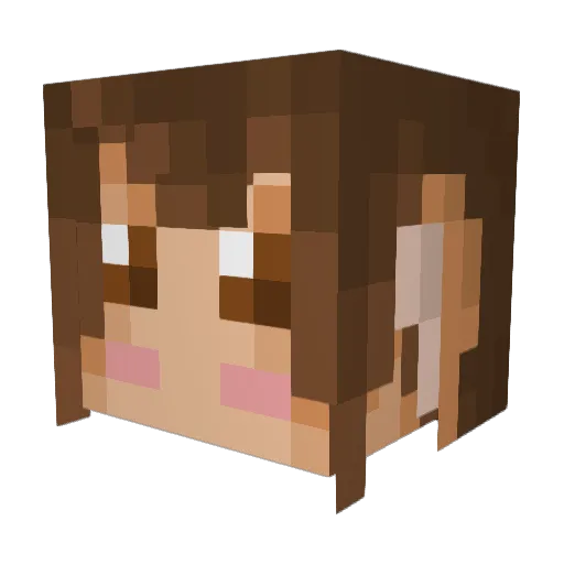 Terrychuu Minecraft avatar head, 3D render