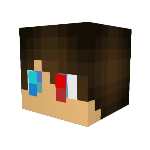Terrysuk0930 Minecraft avatar head, 3D render
