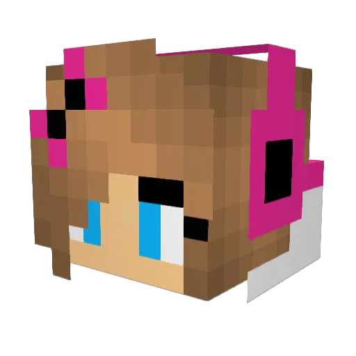 Terryte Minecraft avatar head, 3D render