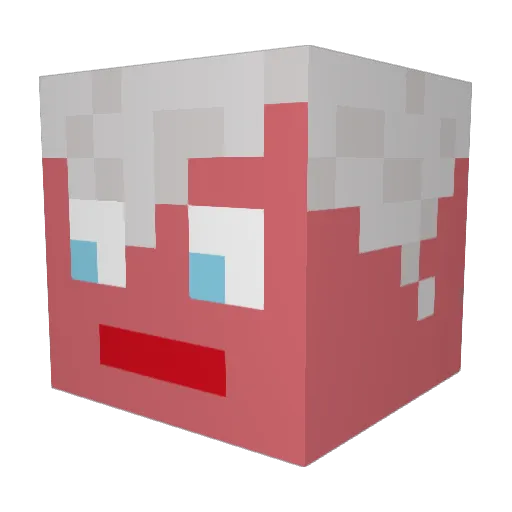 Terse231 Minecraft avatar head, 3D render