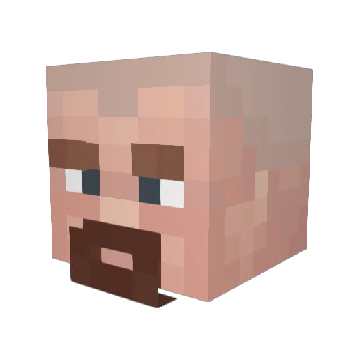 TerseSatyr82113 Minecraft avatar head, 3D render