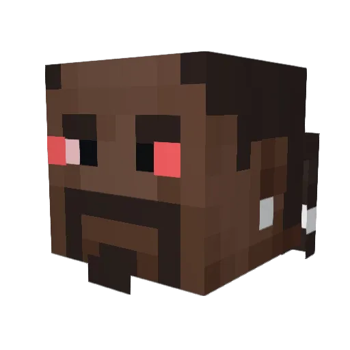 Tertip67 Minecraft avatar head, 3D render