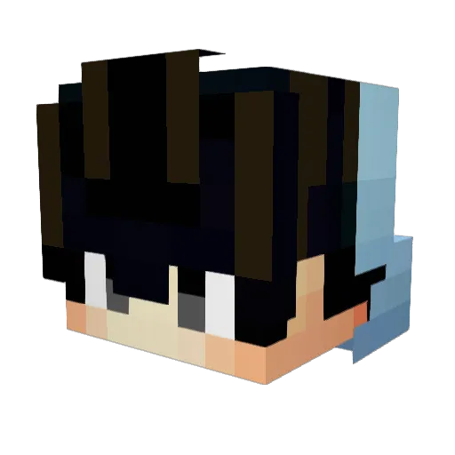 Teruakkie0420 Minecraft avatar head, 3D render