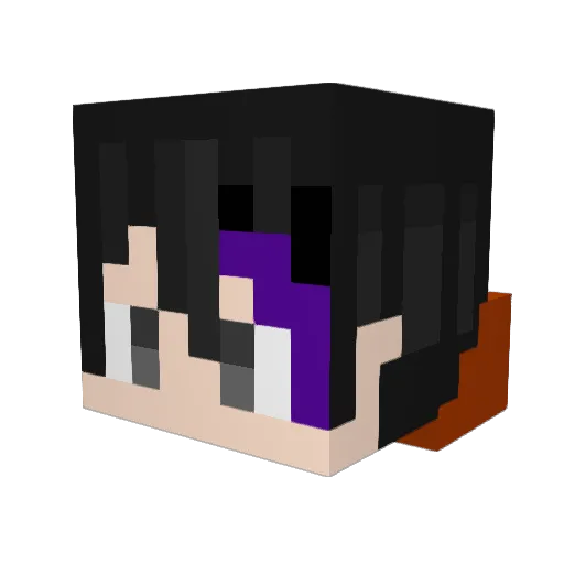 Teruteru833 Minecraft avatar head, 3D render
